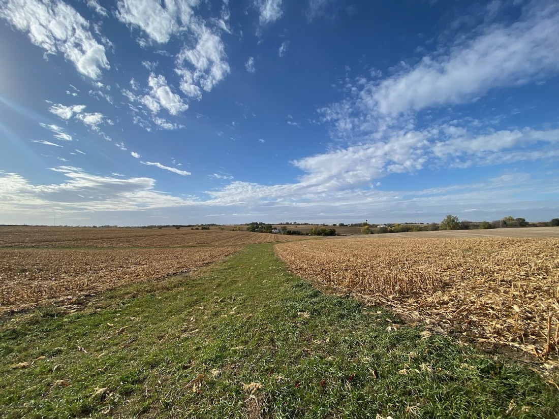 Harvested corn stubble on either side of a grass waterway, under a sky of scattered clouds.
