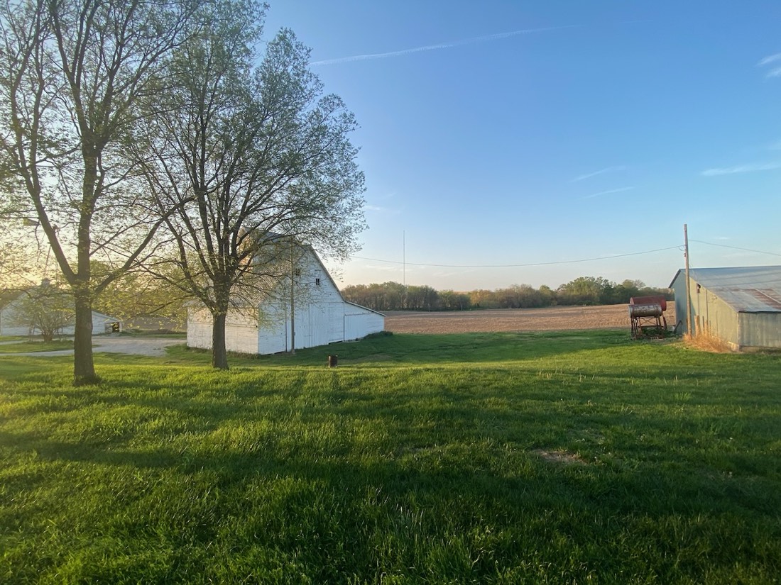 The white barn framed by trees leafing out in spring, with a plowed field behind.